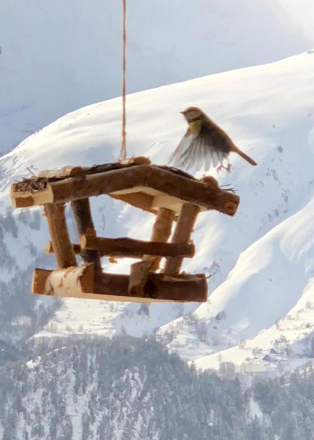 Chalet Lodge Oberig Exclusive Villard-Reculas Екстериор снимка