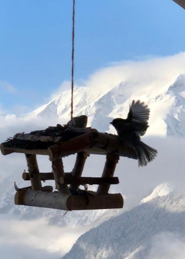 Chalet Lodge Oberig Exclusive Villard-Reculas Екстериор снимка